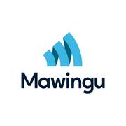 Mawingu Networks