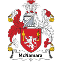 McNamara Citizenship Services