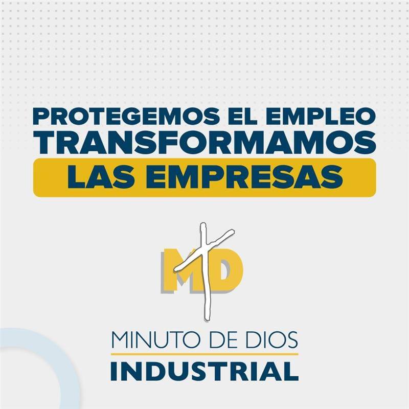 Consultoría CIMD