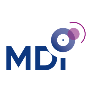 MDI Management Development