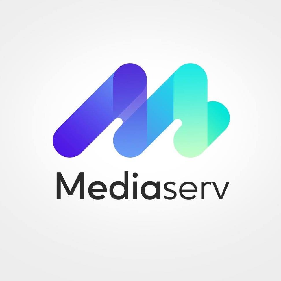 Mediaserv Agency