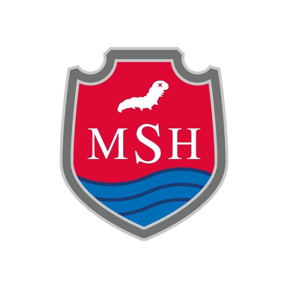 MSH Medical School Hamburg