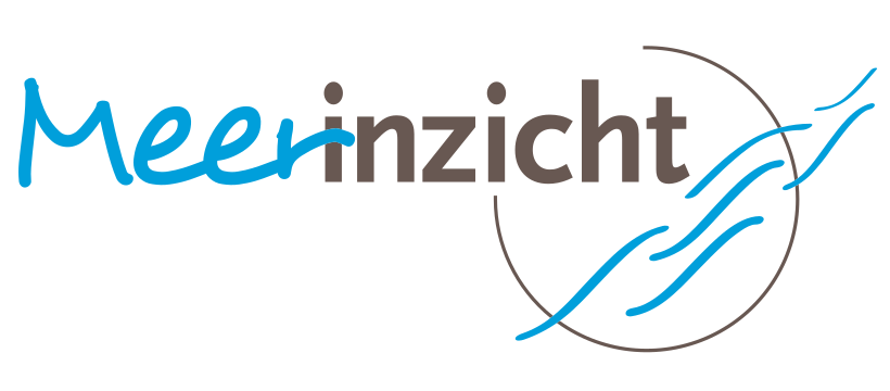 Meerinzicht