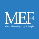 Mef