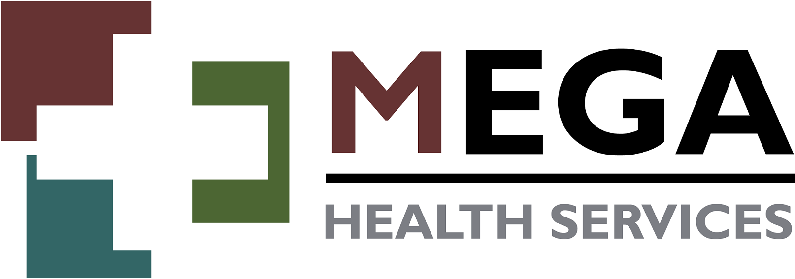 Mega Health Services