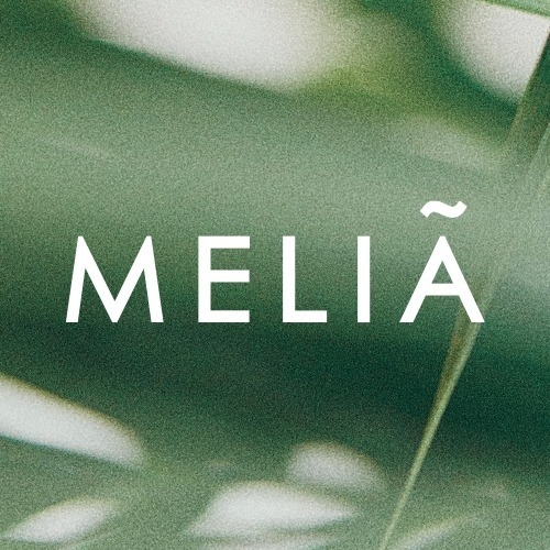 Melia Madeira Mare