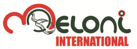 Meloni International