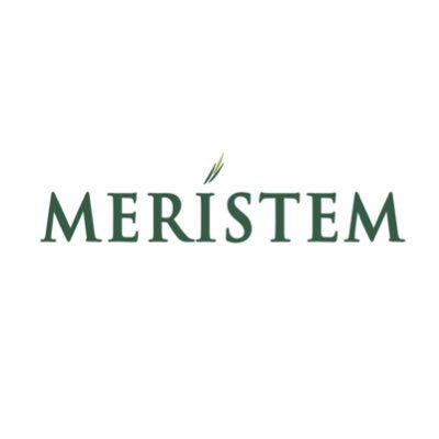 Meristem Securities