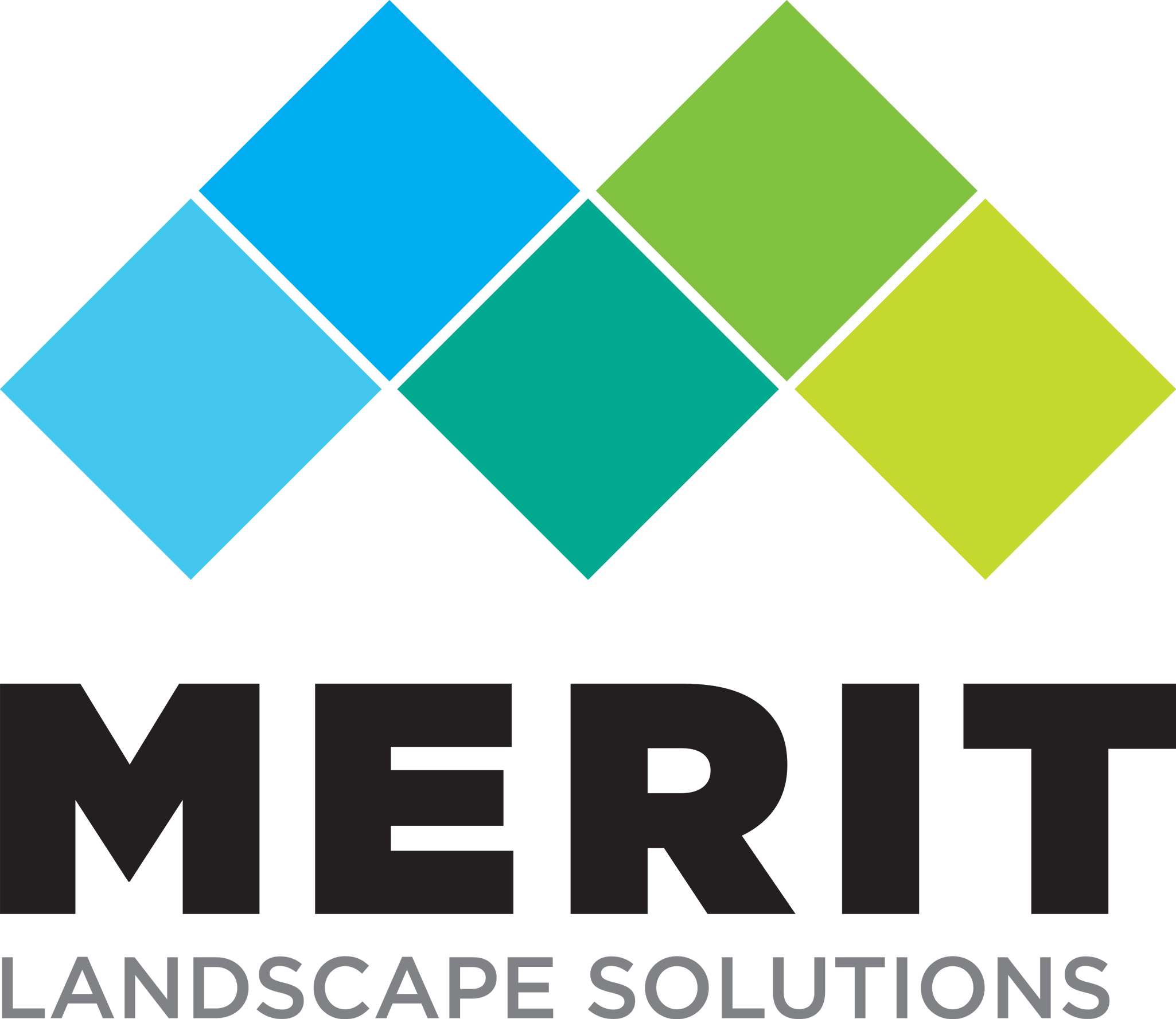 Merit Service Solutions