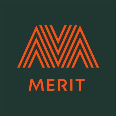 Merit Software