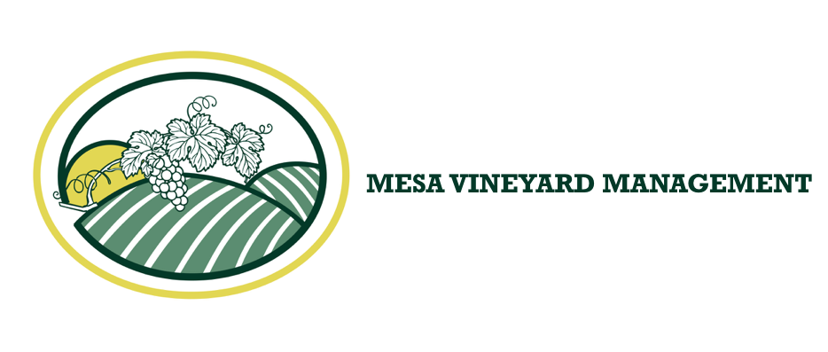 Mesa Vineyard Management