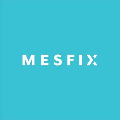 Mesfix