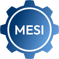 MESI Group