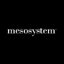 Mesosystem