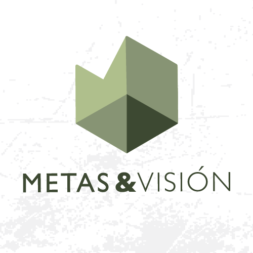 Metas & Vision