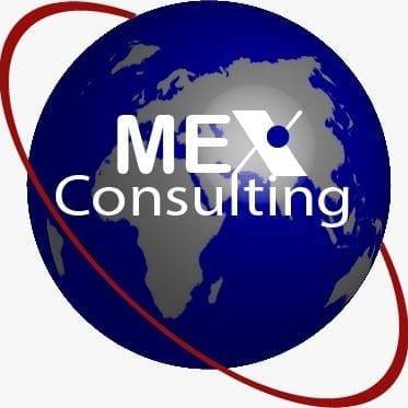 Methodex Consulting