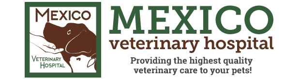 Mexico Veterinary Hospital