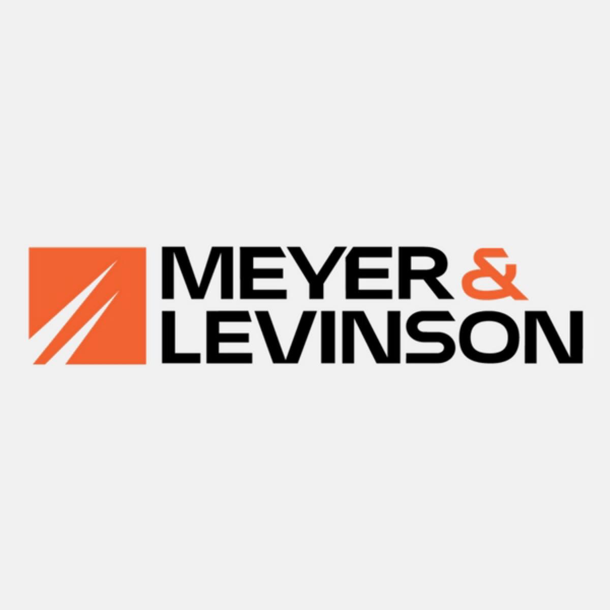 Meyer & Levinson Consulting