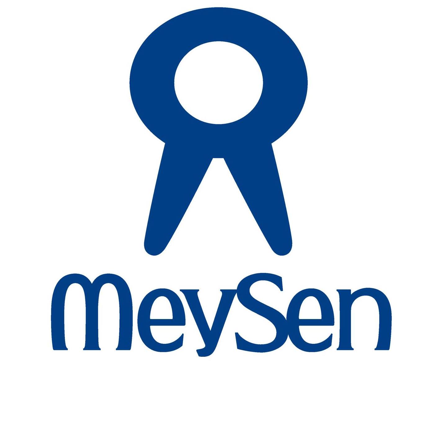 MeySen Academy