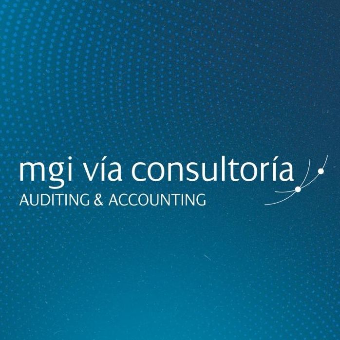 MGI Vía Consultoria S.A.S