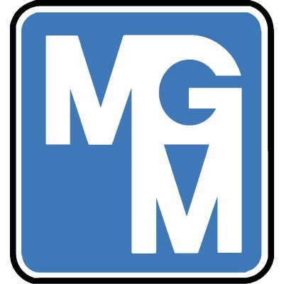 Mgm Motori Elettrici