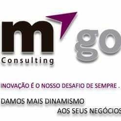 mGO Consulting