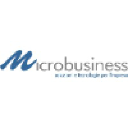 Microbusiness