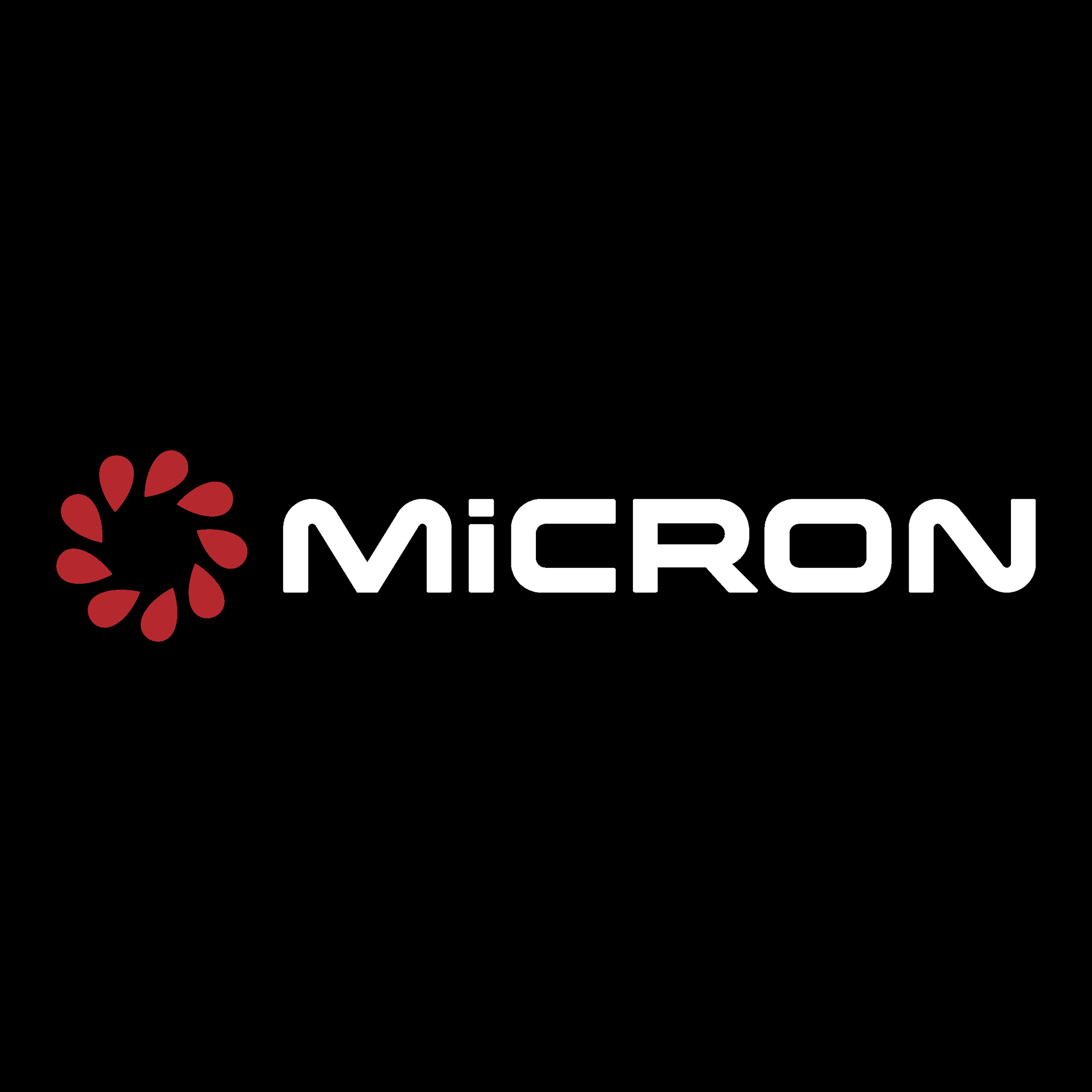 Micron Group