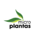 Micro Plantas