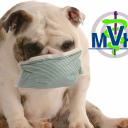 Midway Veterinary Hospital