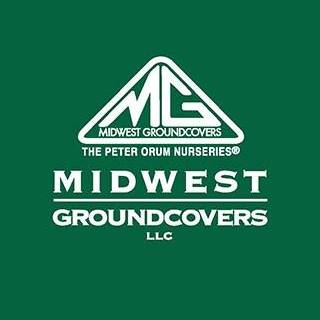 Midwest Groundcovers