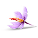 Premium Persian Saffron