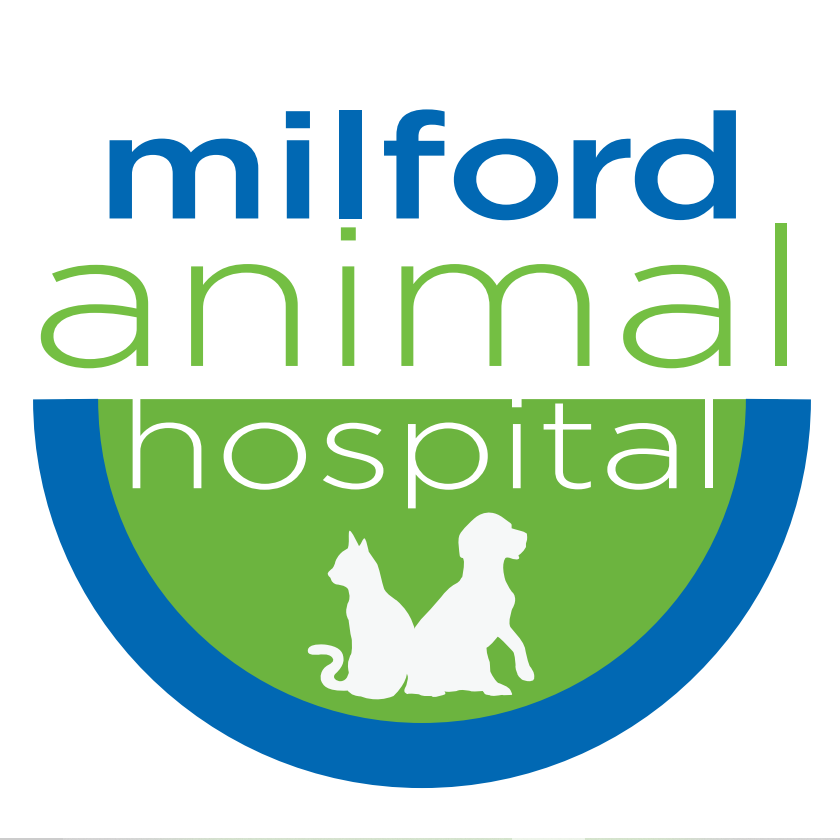 Milford Animal Hospital