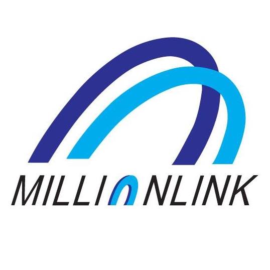 Million Link Investment