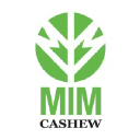 Mim Cashew