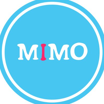 MIMO Interactive Agency