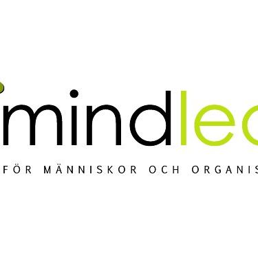 Mindleap