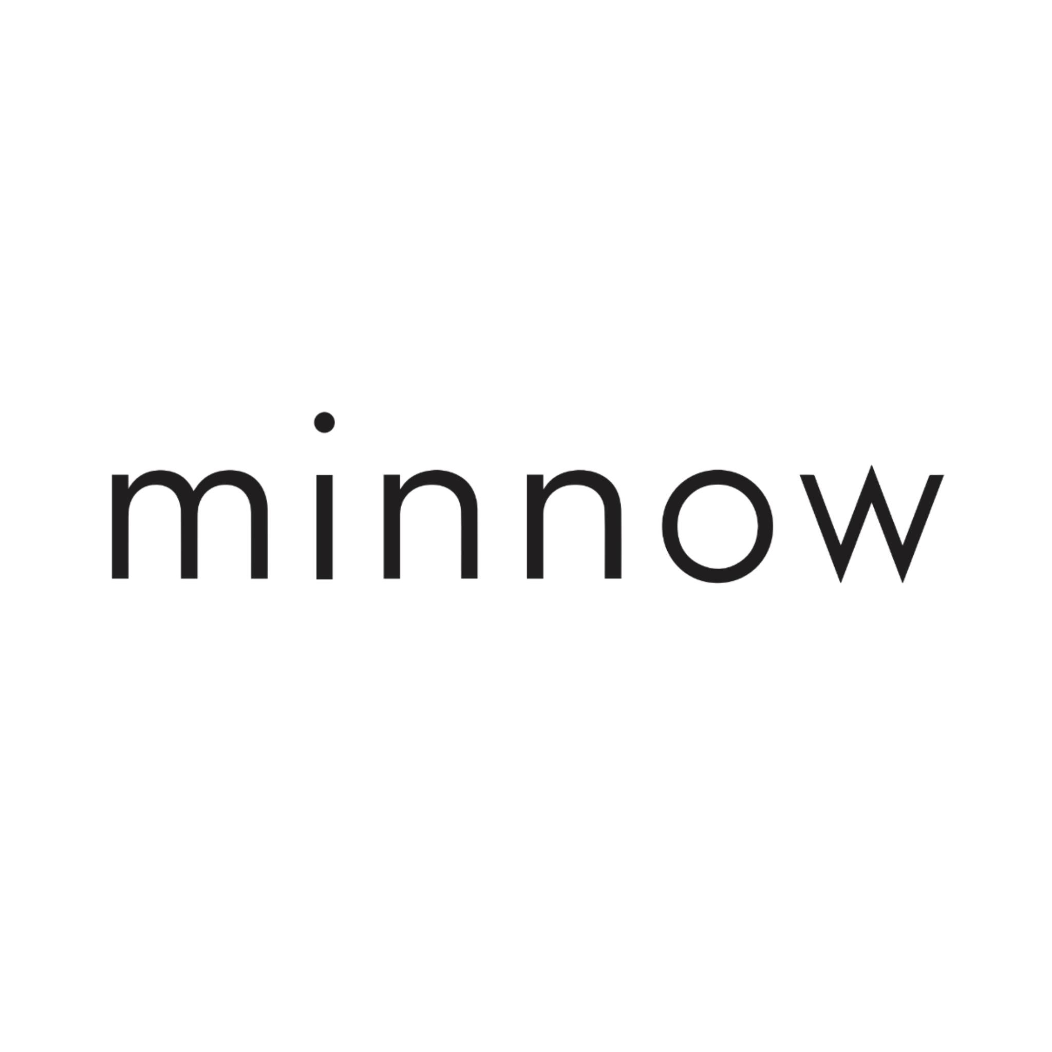 Minnow Swim Llc