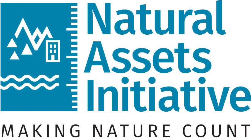 Municipal Natural Assets Initiative