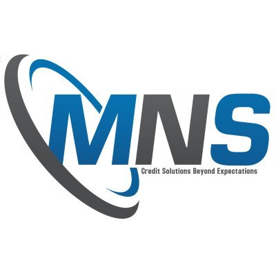 Mns Credit Management Group Private Limited