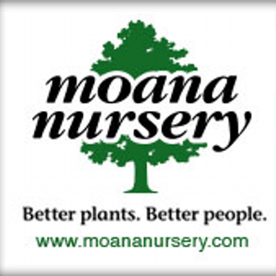 Moana Nursery