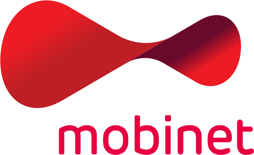 Mobinet Llc