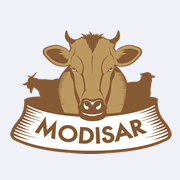 Modisar Net (Pty) Ltd