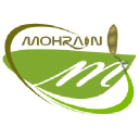 Mohrain WebSoft Pvt