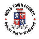 Mold Town Council