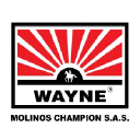 Molinos Champion