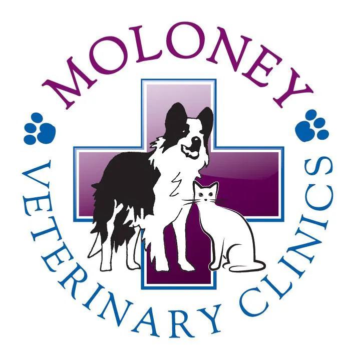 Moloney Veterinary Clinics