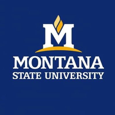 Montana State University