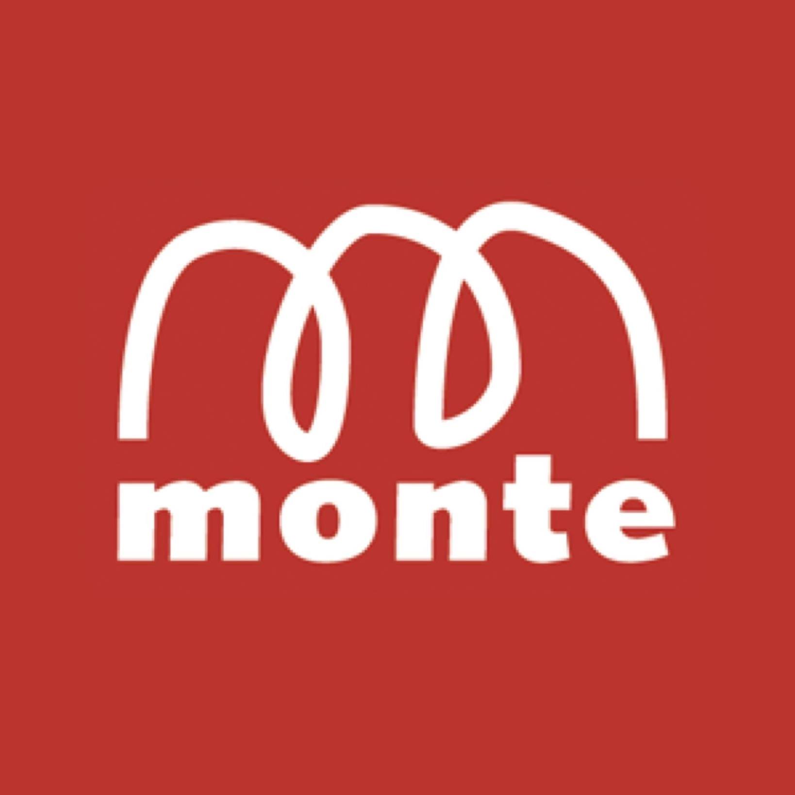 Monte Design Group