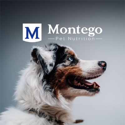 Montego